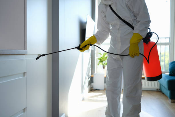 Best Residential Mold Remediation in Heflin, AL